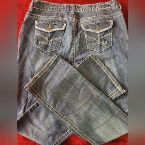 Amethyst Junior-Plus Flare Jeans